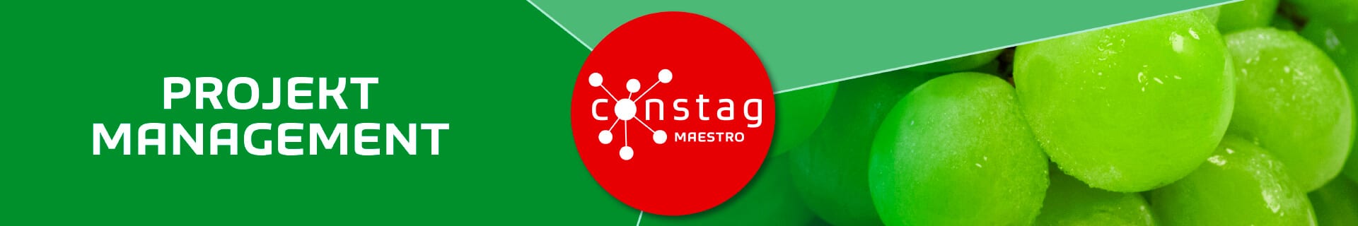 Constag Produkte Projekt-Management MAESTRO